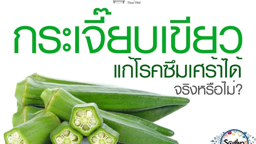 Soเชี่ยว EP71 กระเจี๊ยบเขียวแก้โรคซึมเศร้าได้ จริงหรือไม่