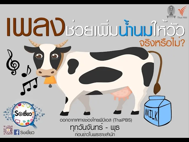 Soเชี่ยว EP21 ภรรยาตบสามี ได้รับโทษทางกฎหมายจริงหรือไม่