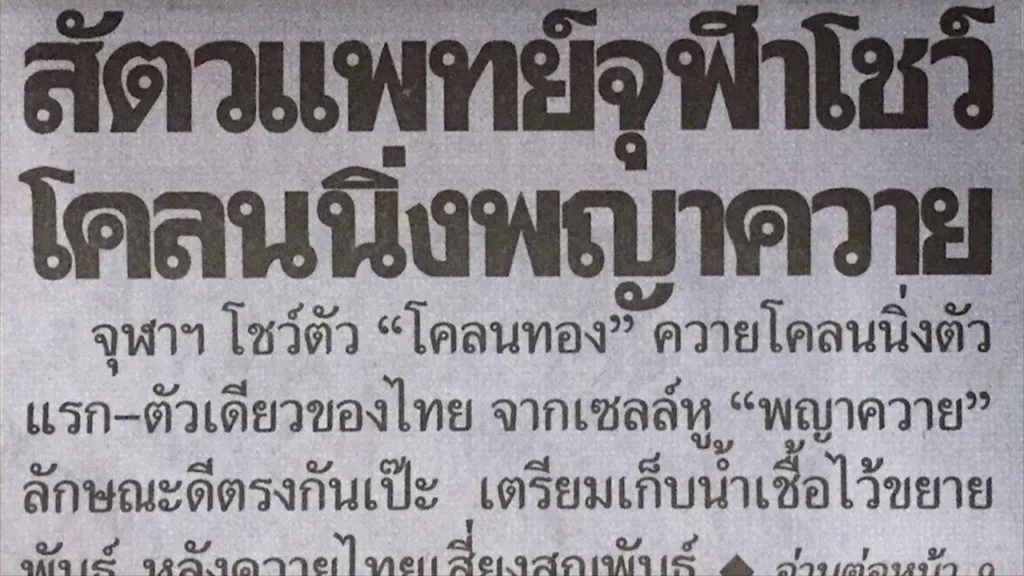 Check-in ถิ่นจุฬา 05 กระบือโคลนนิ่งตัวแรกในไทย (14 มีนาคม 2560)