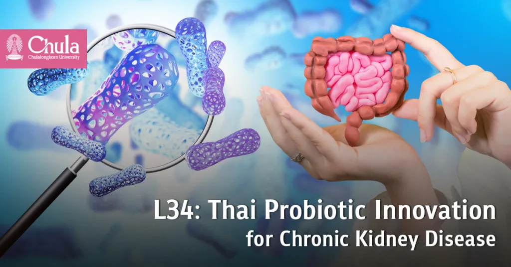 “Lactobacillus rhamnosus L34”: A Native Probiotic That Reduces Inflammation in Patients with Chronic Kidney Disease