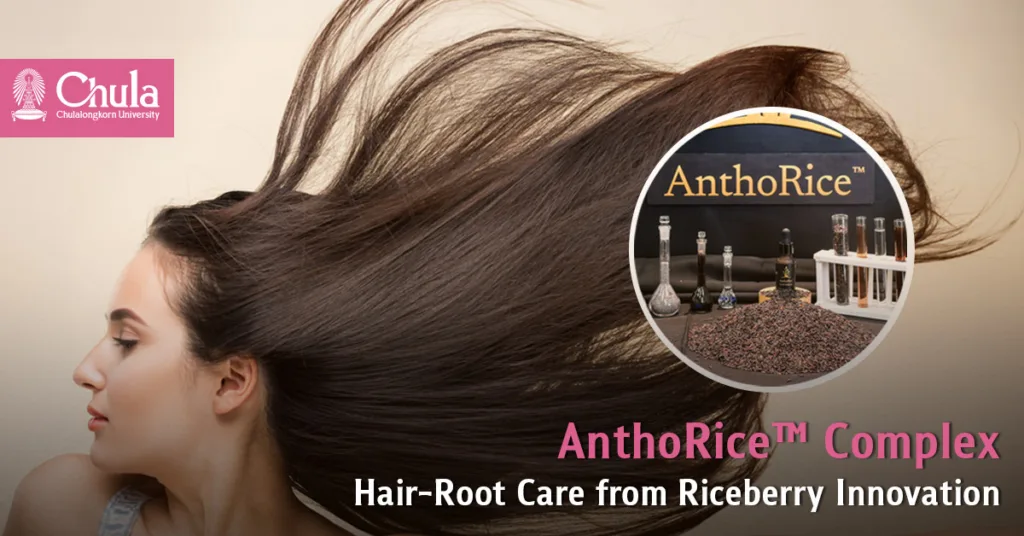 Chula–Mahidol Present AnthoRice™ Complex Hair-Root Care Innovation