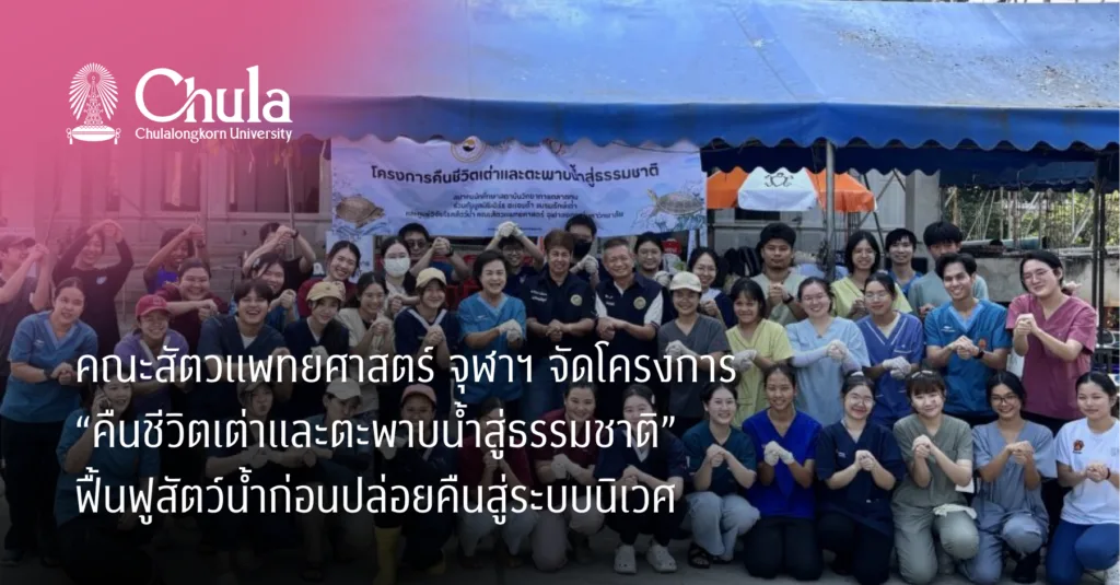 คณะสัตวแพทยศาสตร์ จุฬาฯ จัดโครงการ “คืนชีวิตเต่าและตะพาบน้ำสู่ธรรมชาติ” ฟื้นฟูสัตว์น้ำก่อนปล่อยคืนสู่ระบบนิเวศ