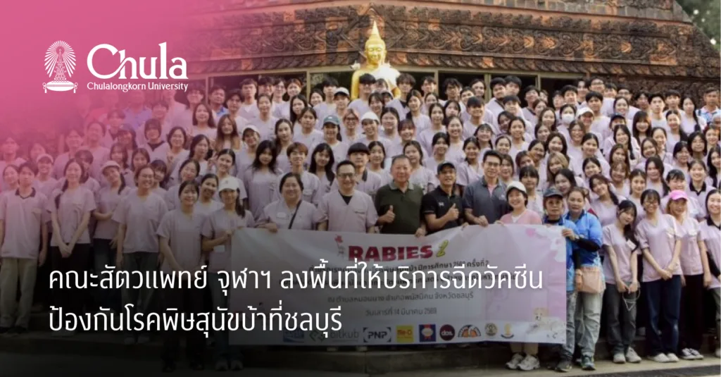 คณะสัตวแพทย์ จุฬาฯ ลงพื้นที่ให้บริการฉีดวัคซีนป้องกันโรคพิษสุนัขบ้าที่ชลบุรี