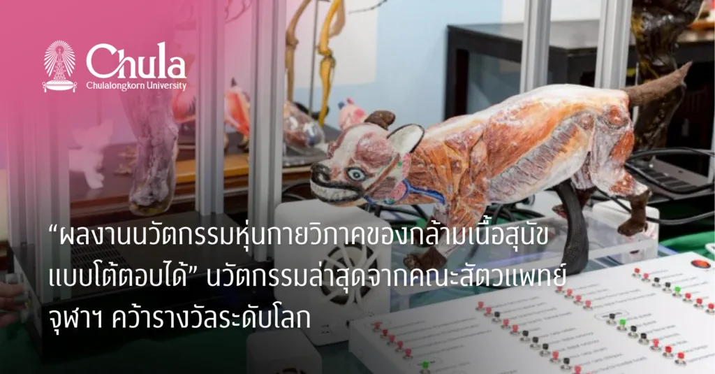 “ผลงานนวัตกรรมหุ่นกายวิภาคของกล้ามเนื้อสุนัขแบบโต้ตอบได้” นวัตกรรมล่าสุดจากคณะสัตวแพทย์ จุฬาฯ คว้ารางวัลระดับโลก