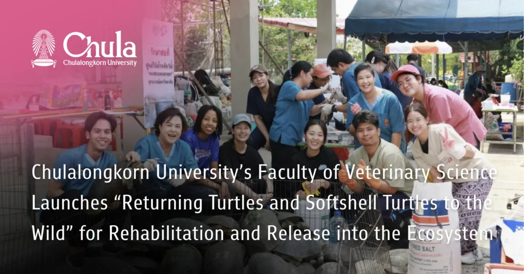 �鶹������s Faculty of Veterinary Science Launches ��Returning Turtles and Softshell Turtles to the Wild�� for Rehabilitation and Release into the Ecosystem?
