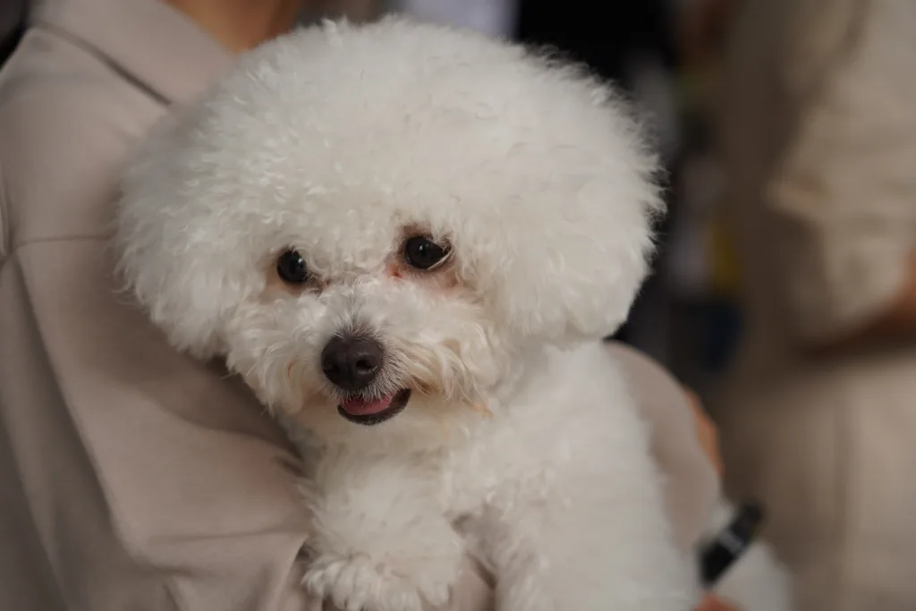 Chula Hosts Love Through the Bowl: Proper Nutrition for Dogs and Cats 