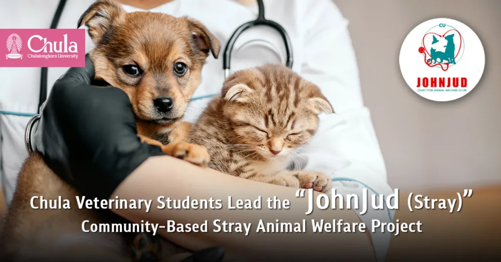 Chula Veterinary Students Lead the “JohnJud (Stray)” Community-Based Stray Animal Welfare Project