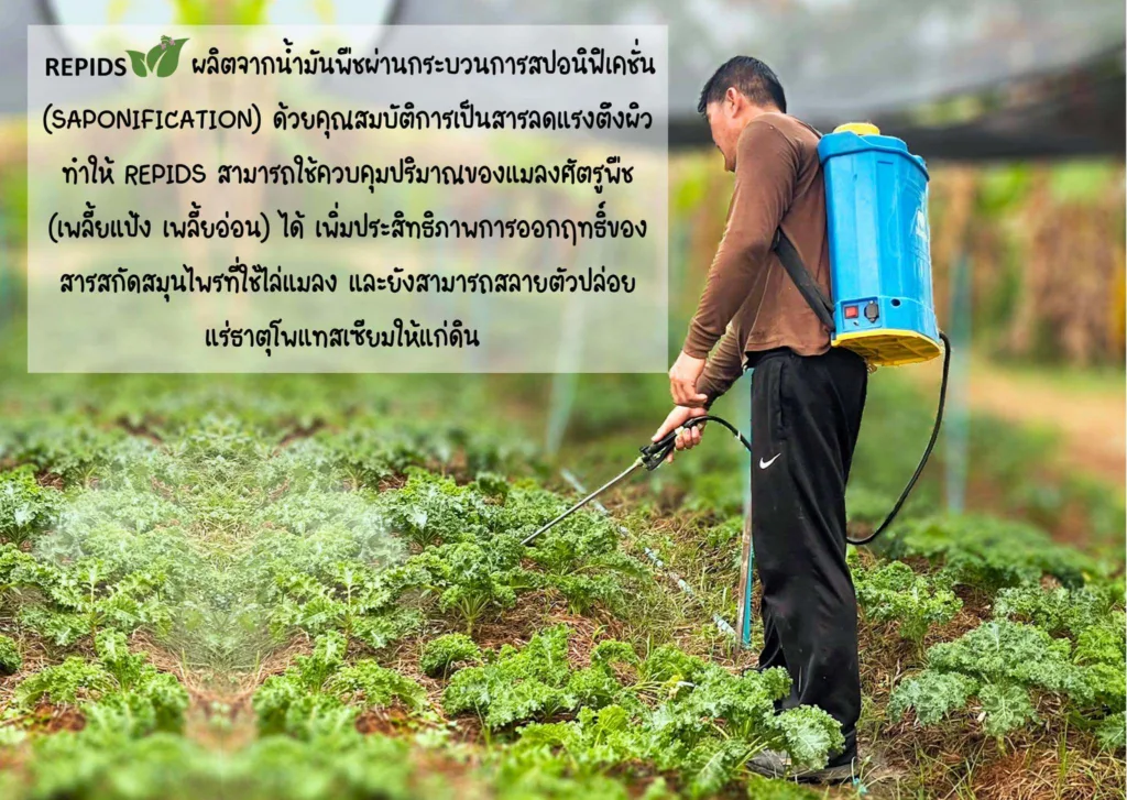 Repids เพิ่มประสิทธิภาพการออกฤทธิ์ของสารสกัดสมุนไพรที่ใช้ไล่แลง และสามารถย่อยสลายตัวปล่อยแร่ธาตุโพเทสเซียมให้แก่ดิน