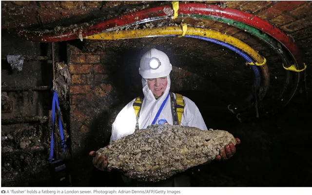 ????????????????? (Fatberg) ????????????????????????? ??????????? ????????????