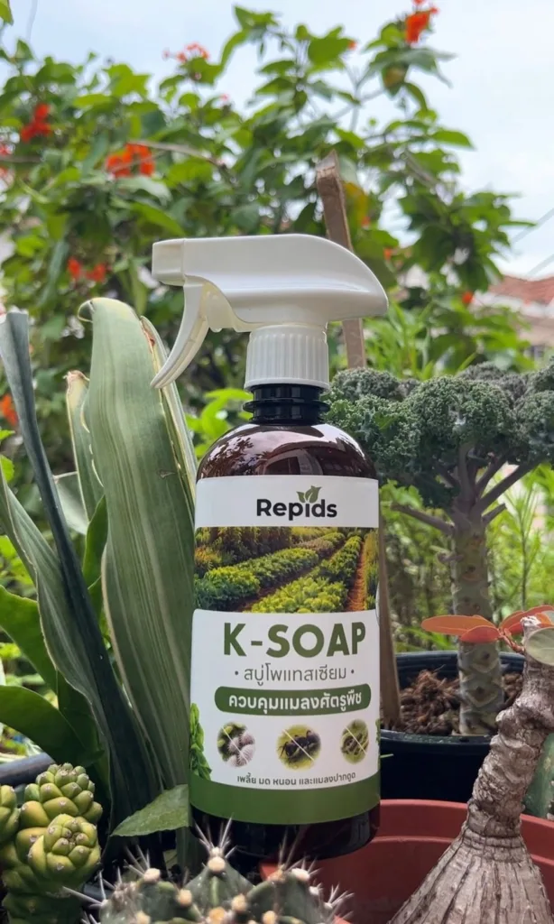 K-Soap "???????????! ????????????????????