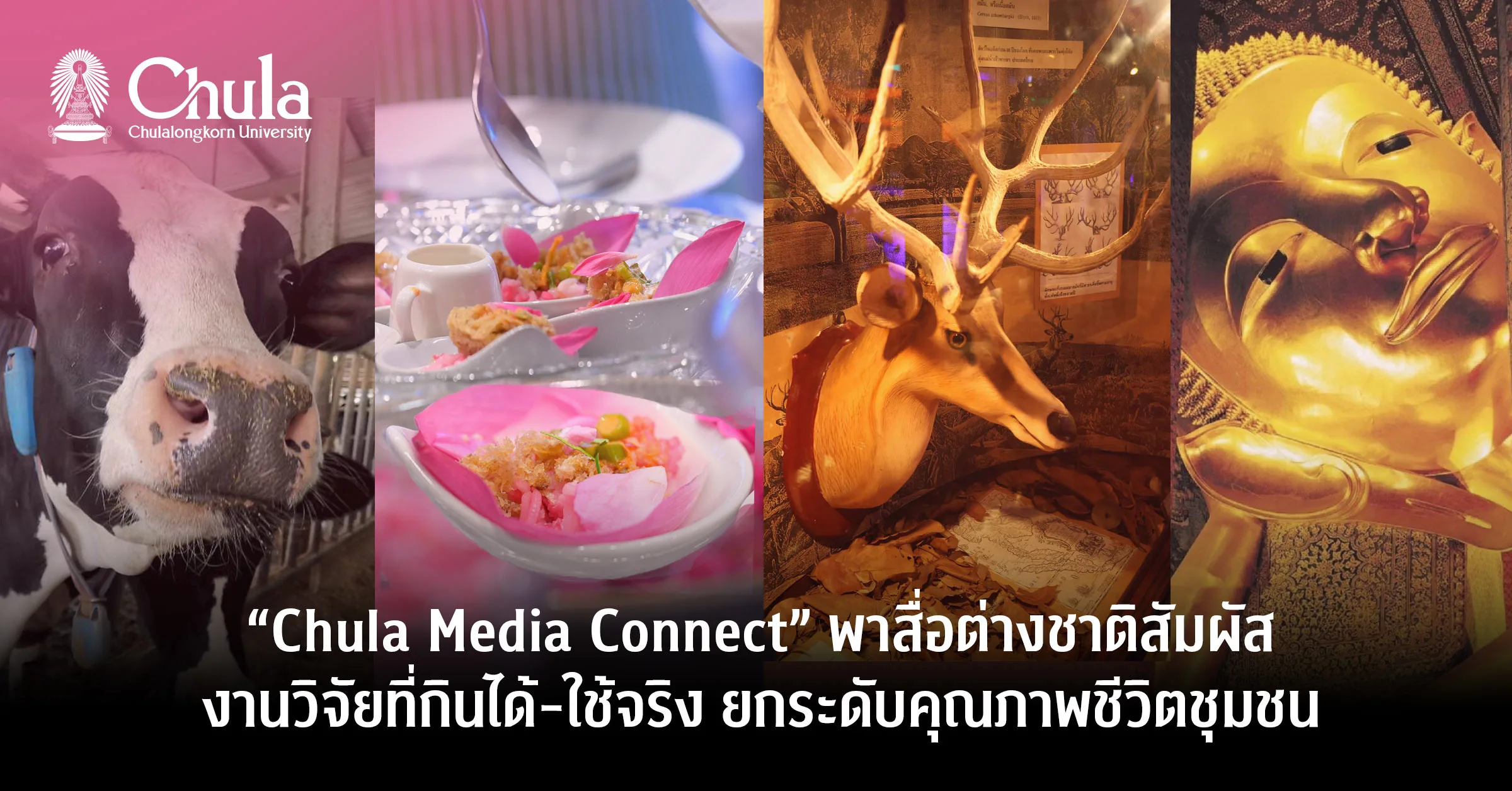 ��Chula Media Connect�� ?????????????????????????????????????-??????? ???????????????????????
