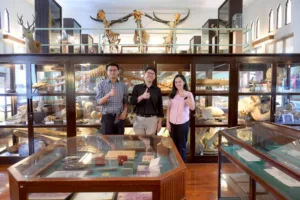 Chula-Natural-History-Museum_1