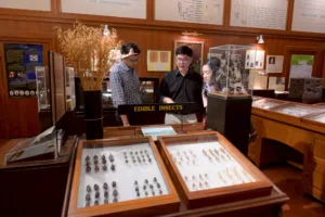 Chula-Natural-History-Museum_2