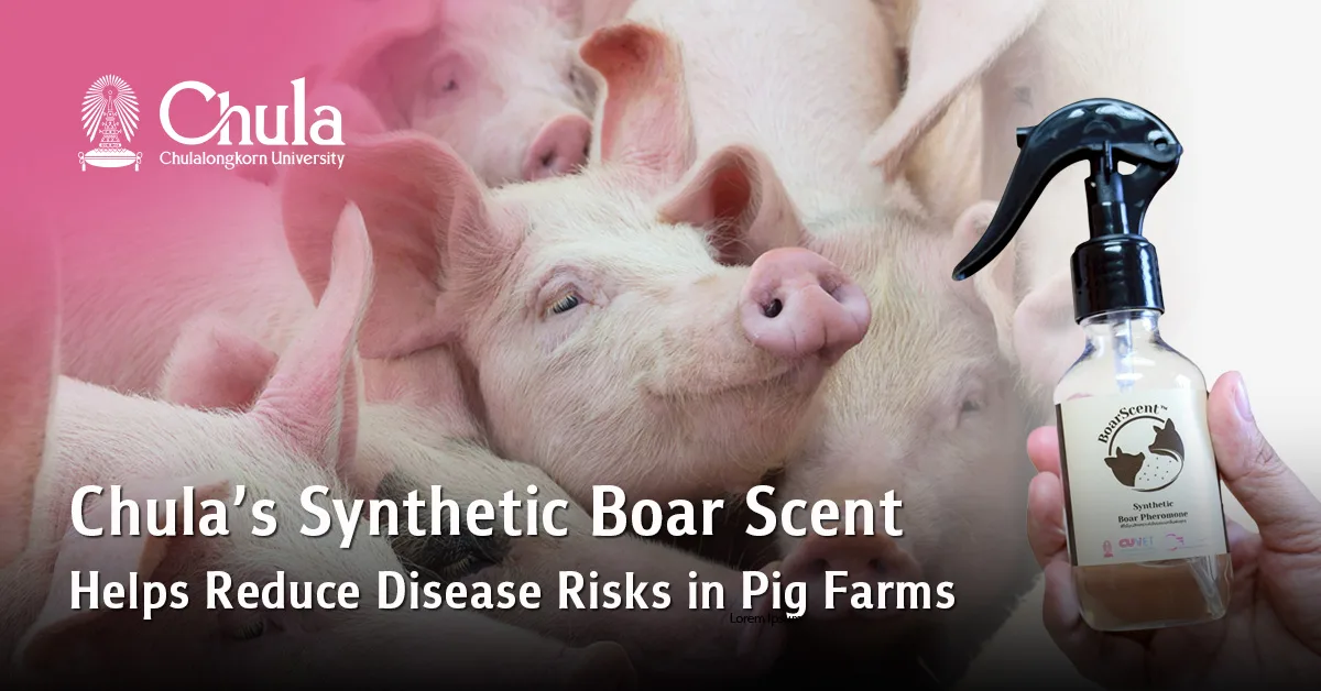Synthetic-Boar-scent