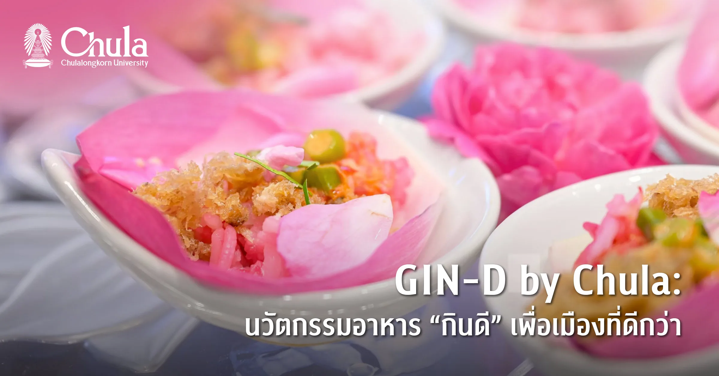 GIN-D Project by Chula