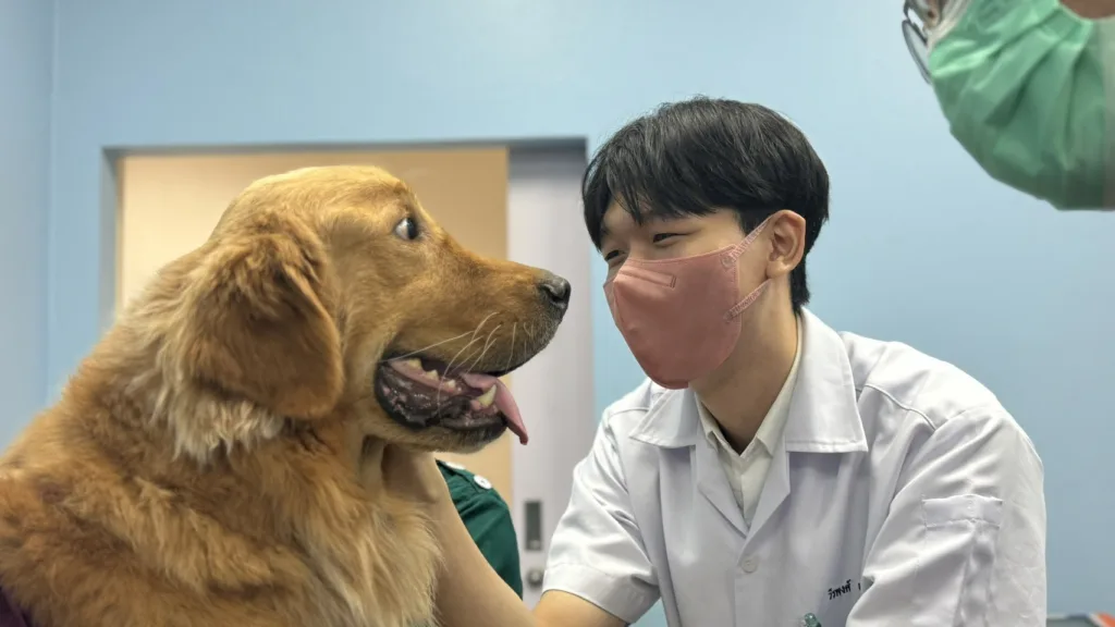 From Security Guard to Veterinarian: A Meaningful Journey Made Possible by the Chula-Rural Scholarship 