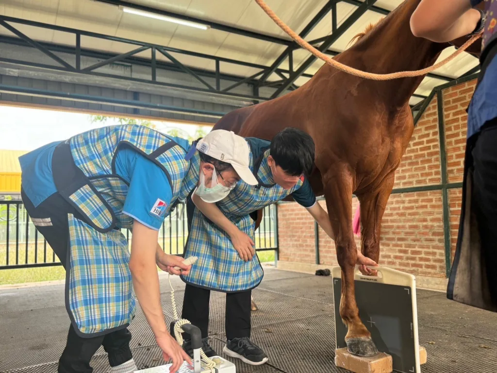From Security Guard to Veterinarian: A Meaningful Journey Made Possible by the Chula-Rural Scholarship 