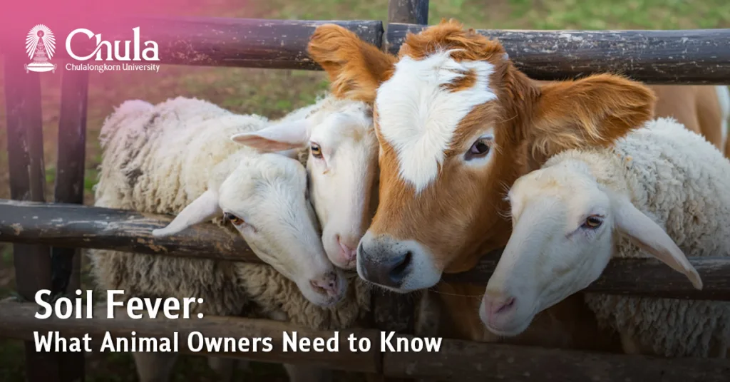 Soil Fever: The Silent Threat Lurking in Soil and Water—What Animal Owners Need to Know 