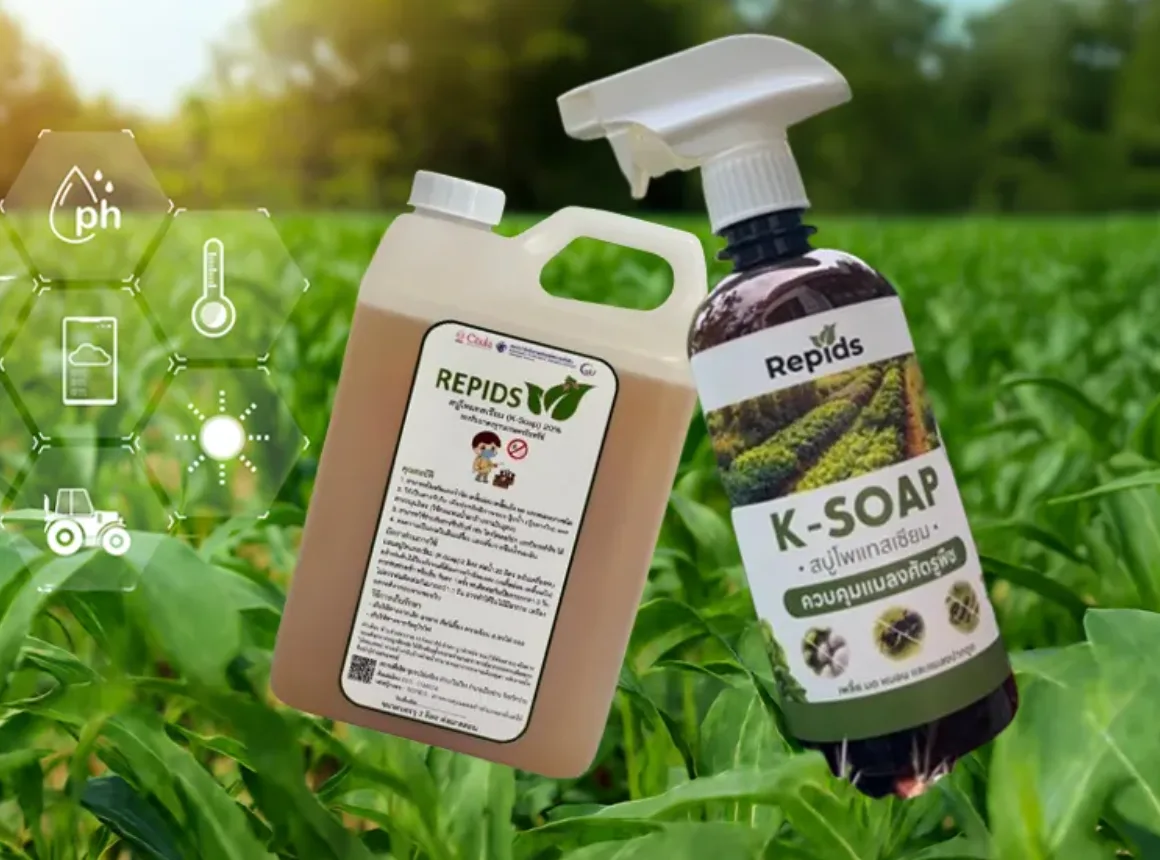 Repids: Turning Used Cooking Oil into Organic Insecticide—