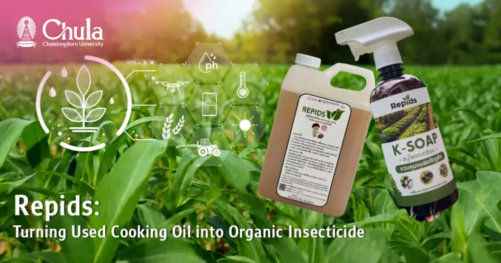 Repids: Turning Used Cooking Oil into Organic Insecticide—A Community Innovation from Chulalongkorn University 