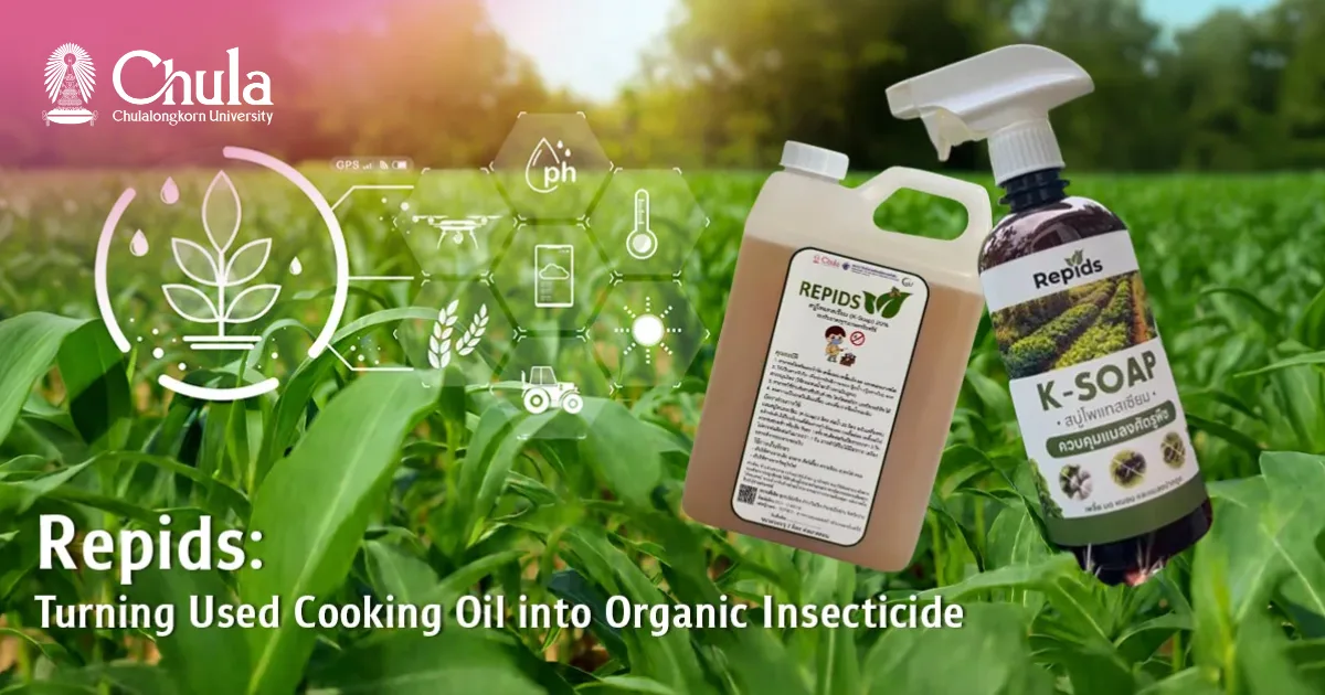 Repids: Turning Used Cooking Oil into Organic Insecticide—