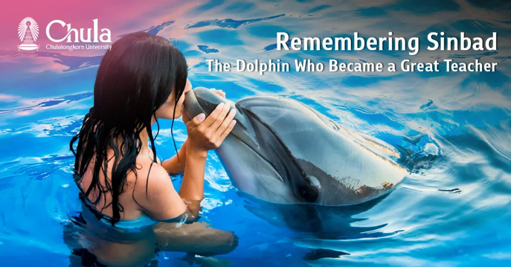 Remembering “Sinbad,” the Famous Dolphin of 52 Years Ago: The “Great Teacher” Who Inspired the Advancement of Aquatic Animal Studies in Thai Veterinary Medicine 