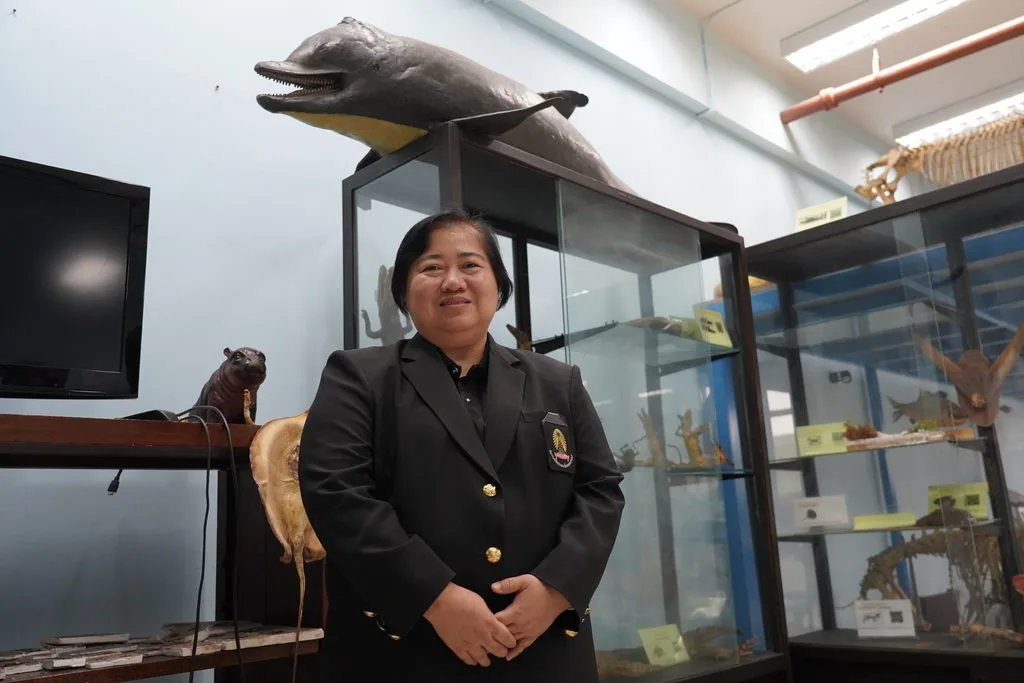 Asst. Prof. Pawana Chuesiri Curator of the Veterinary Anatomy Museum, Department of Anatomy, Faculty of Veterinary Science, Chulalongkorn University
