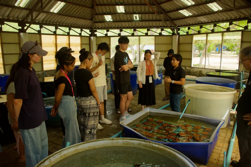 Global Youth Leaders Join Chula Program to Tackle Sustainability Challenges
