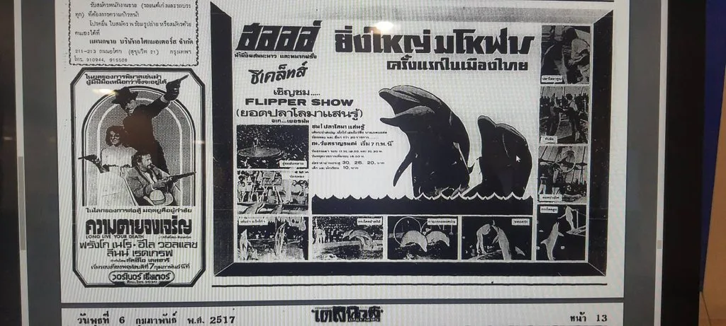 News of the “Flipper Show” troupe from West Germany, which staged Thailand’s first dolphin show in 1974. 