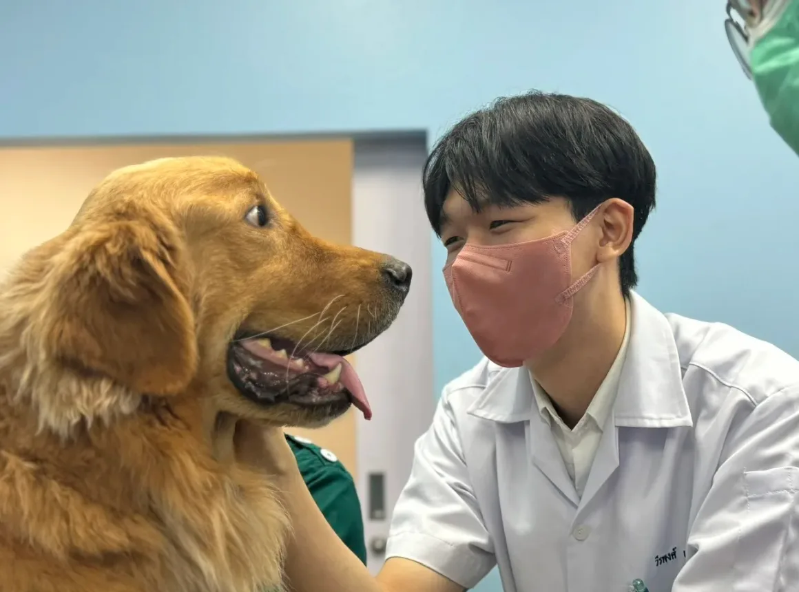 From Security Guard to Veterinarian: A Meaningful Journey Made Possible by the Chula-Rural Scholarship 