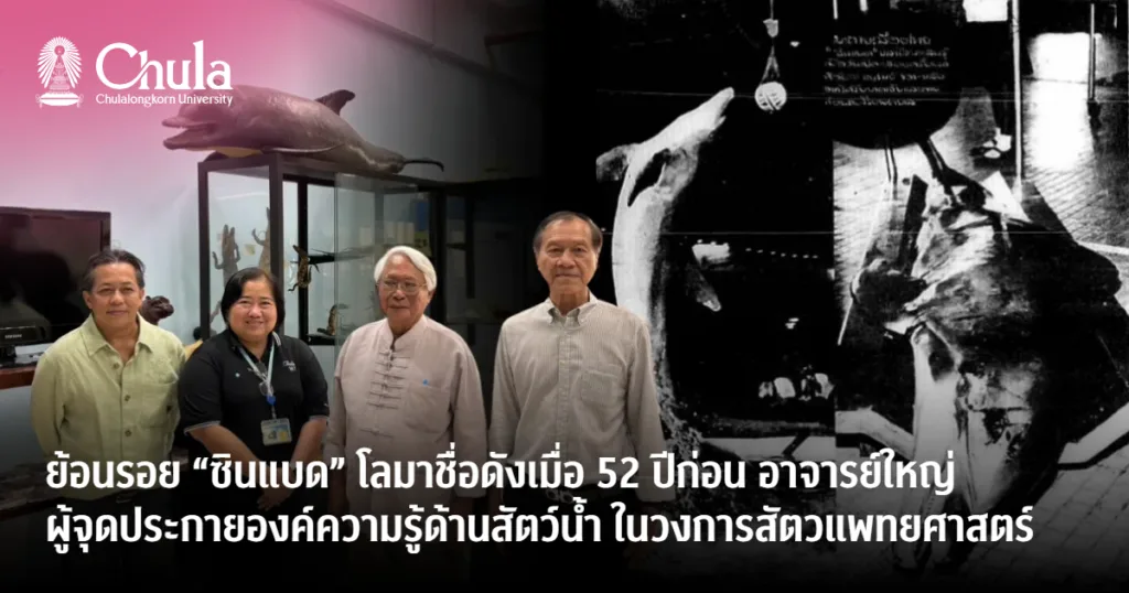 ย้อนรอย “ซินแบด” โลมาชื่อดังเมื่อ 52 ปีก่อนอาจารย์ใหญ่ผู้จุดประกายองค์ความรู้ด้านสัตว์น้ำ ในวงการสัตวแพทยศาสตร์ไทย