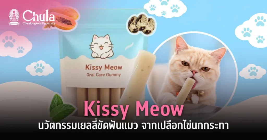 Kissy Meow นวัตกรรมเยลลี่ขัดฟันแมว จากเปลือกไข่นกกระทาจากโครงงานในห้องเรียนสู่สตาร์ตอัป