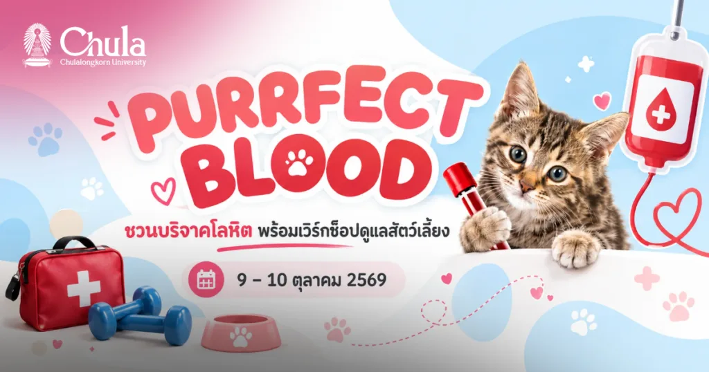 สัตวแพทย์ จุฬาฯ ชวนบริจาคโลหิต “Purrfect Blood” ต่อชีวิตเพื่อนมนุษย์ จัดเวิร์กช็อปดูแลสัตว์เลี้ยง